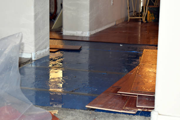 Professional Basement Flood Cleanup technician working in Higley, AZ